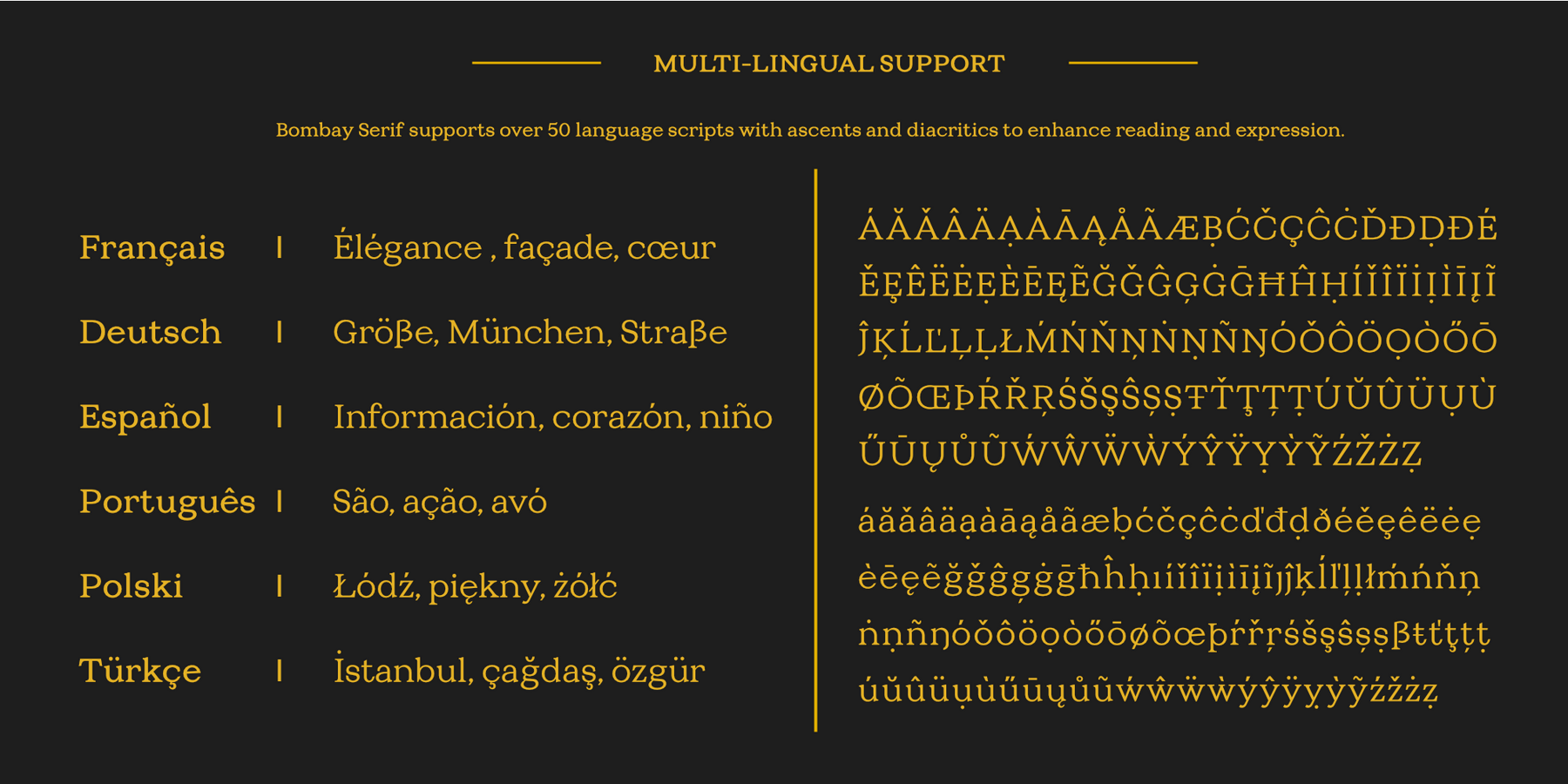 Multi lingual support Multi lingual support